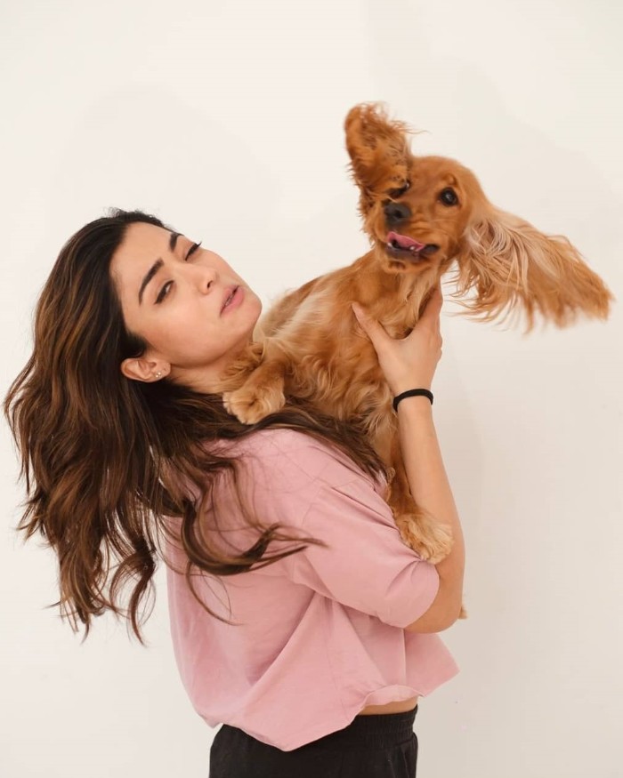 Actress rashmika mandanna photos with her puppy