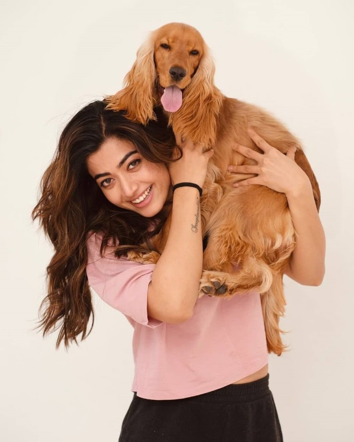 Actress rashmika mandanna photos with her puppy