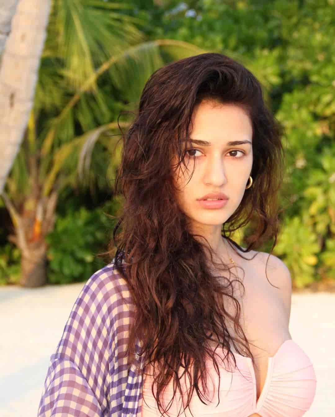 Actress disha patani hot bikini photos