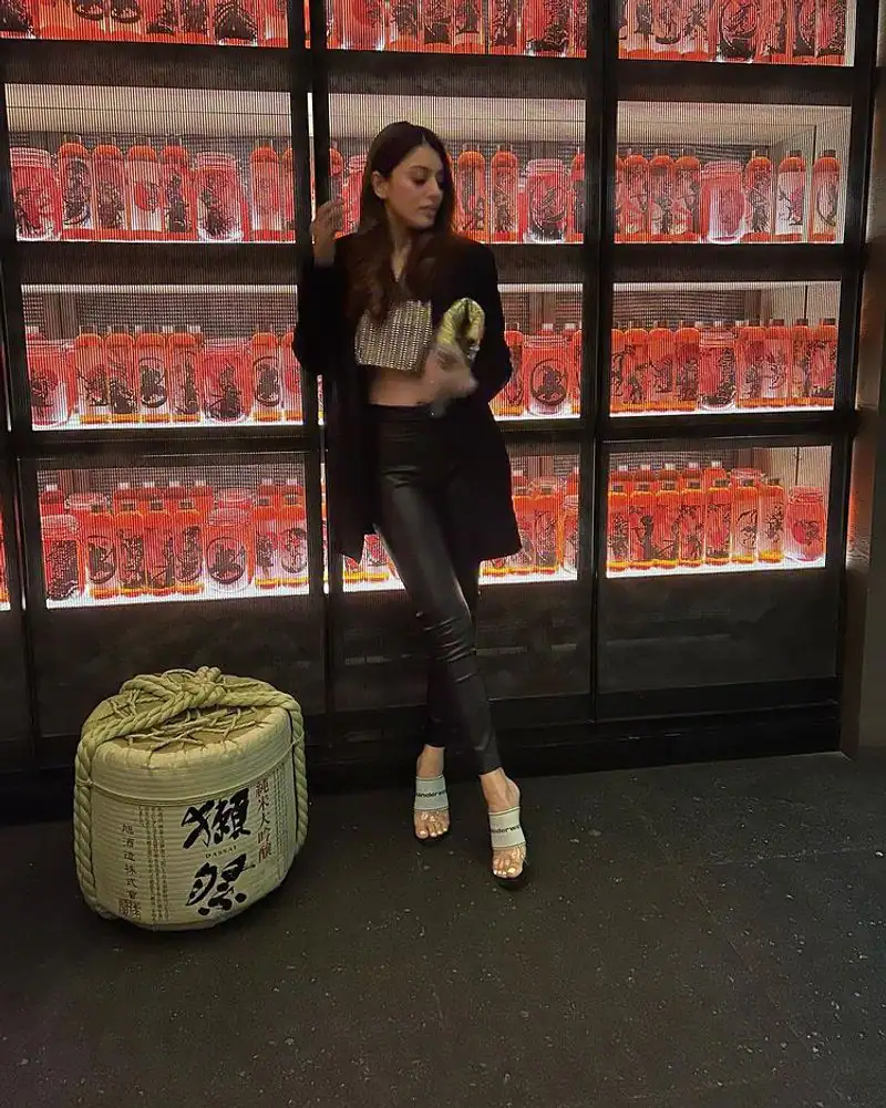 Actress hansika motwani hot photos 1