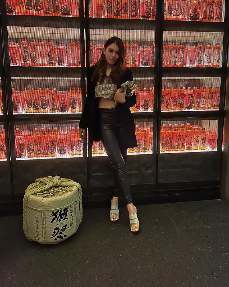 Actress hansika motwani hot photos 1