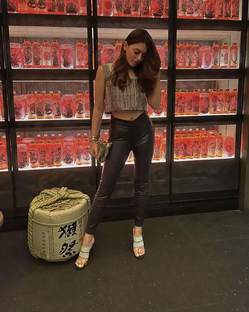 Actress hansika motwani hot photos 1