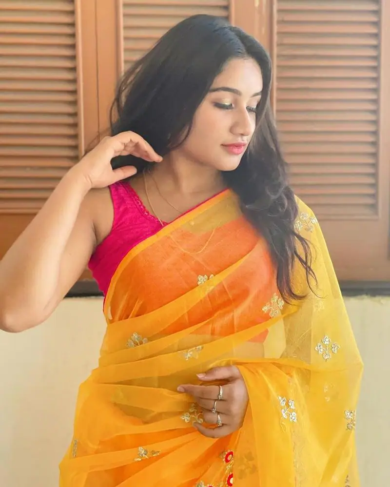 Actress raveena daha hot photos in yellow saree viral