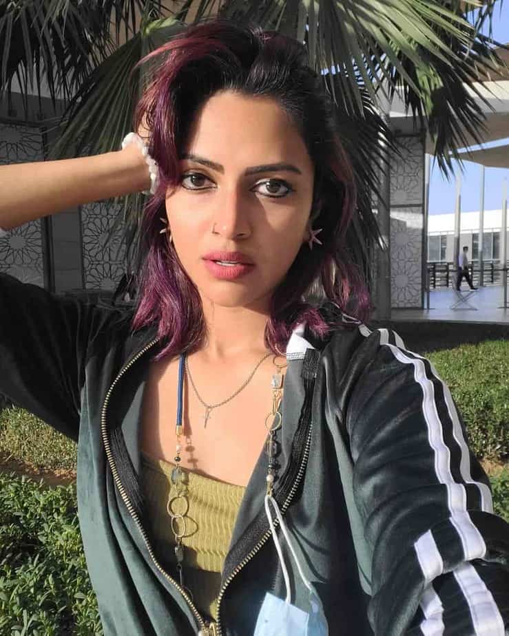 Amala paul hair coloring selfie photos creates viral on internet