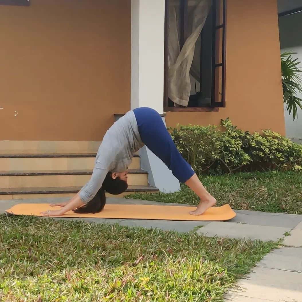 Poonam bajwa doing yoga poses trending on internet