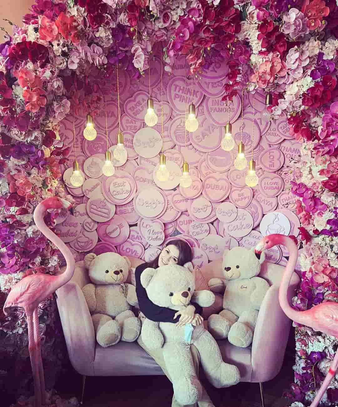 Hansika motwani cute photos with teddy bears trending on net