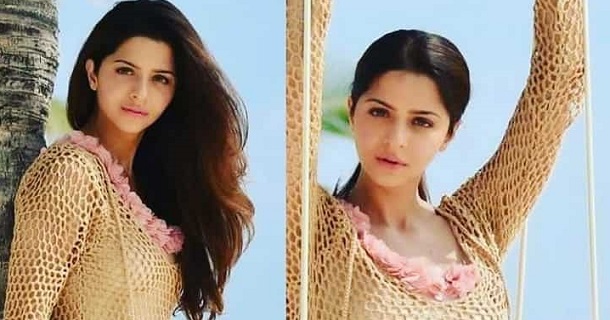 Vedhika hot bikini photoshoot pics viral on net