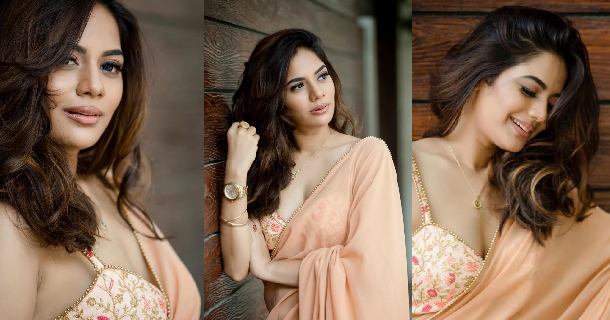 Aiswarya dutta latest photoshoot in cotton blue color saree viral on net