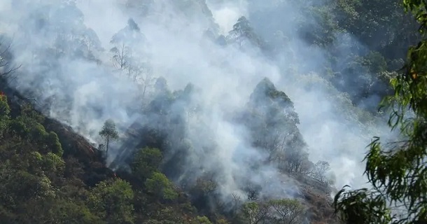 Kodaikanal fire spread in tree and forest areas in getting larger day by day