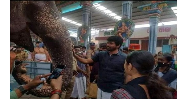 Sivakarthikeyan went to his native place and thirunallaru photos getting viral
