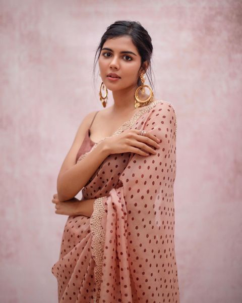 Kalyani priyadharshan hot transparent saree photos
