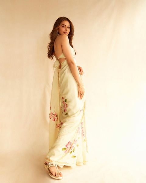 Rakul preet singh hot transparent saree photoshoot stills