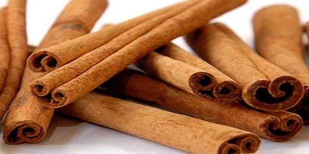 Health Care Tips Pattai For Human Body Nature Foods