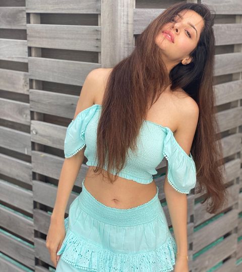 Vedhika hot photoshoot in modern dress