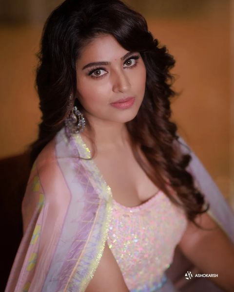 Sneha hot photoshoot in modern dress showing hip