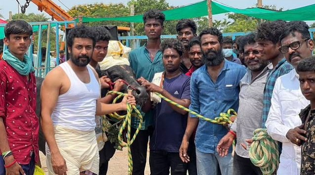 rumours spreading that suriya is out of vadivasal movie and vetrimaran explanation also spreading viral