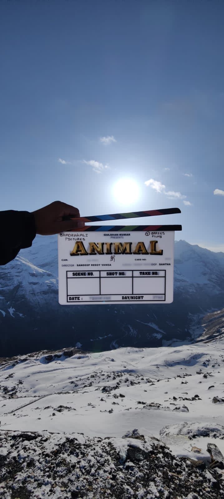 Rashmika mandanna to pair up with ranbir kapoor for animal bollywood movie