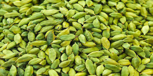 Health Benefits For Cardamom Human Body Tips