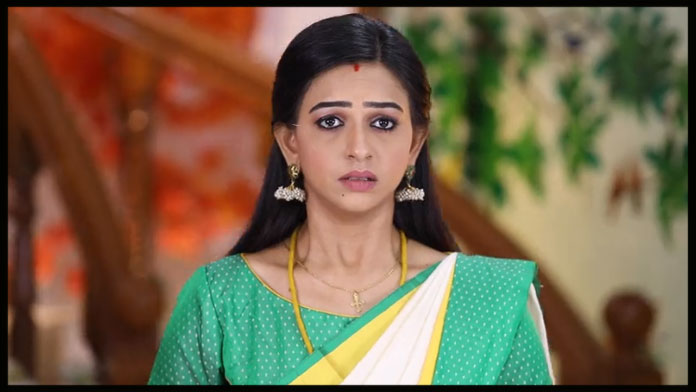 Neha status shocks fans about divya ganesh role in bakiyalakshmi