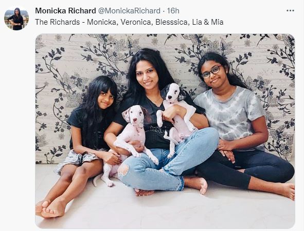 Imman ex wife invites 2 puppies comparing imman tweet