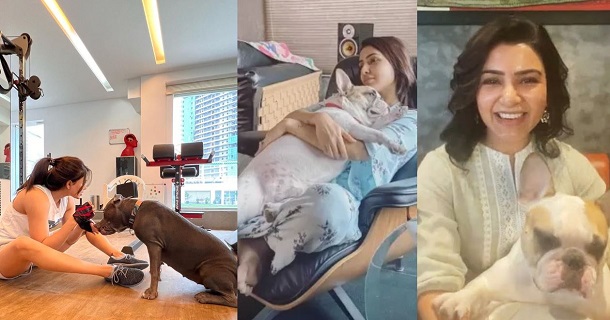 Samantha answers for a fan tweet about her pet dogs