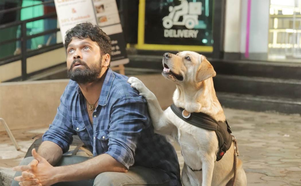 Basavaraj bommai cried after watching 777charlie movie