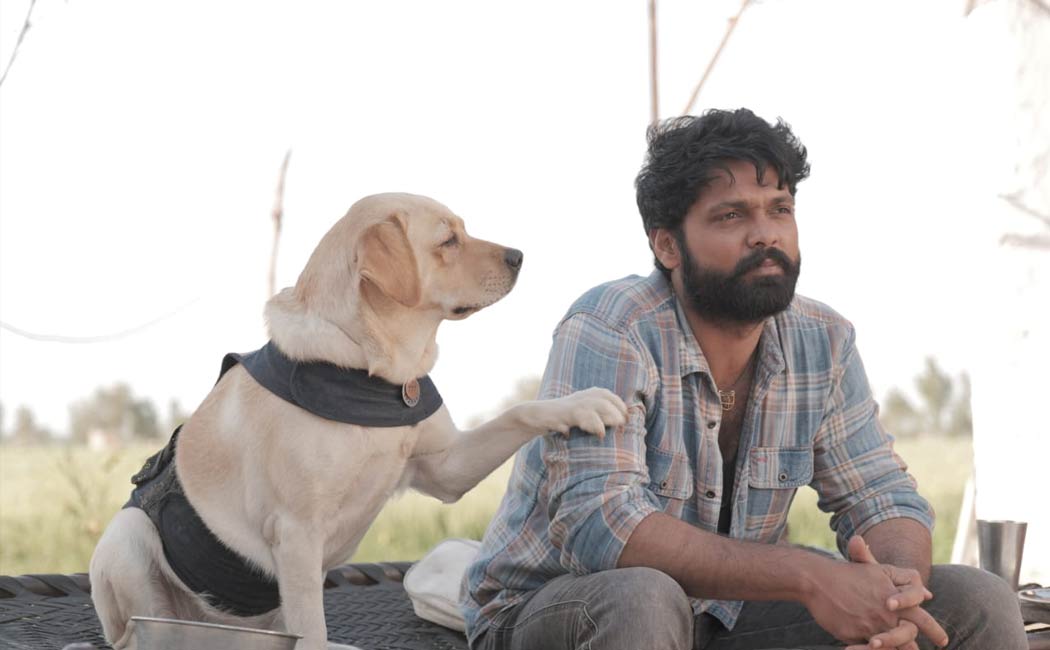 Basavaraj bommai cried after watching 777charlie movie