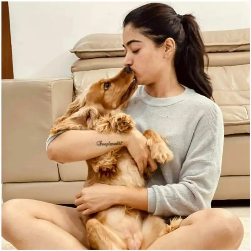 Rashmika clears about rumour about her dog on shooting