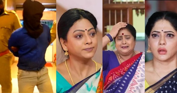 Baakiyalakshmi serial team in raju vootla party show promo video getting viral on social media
