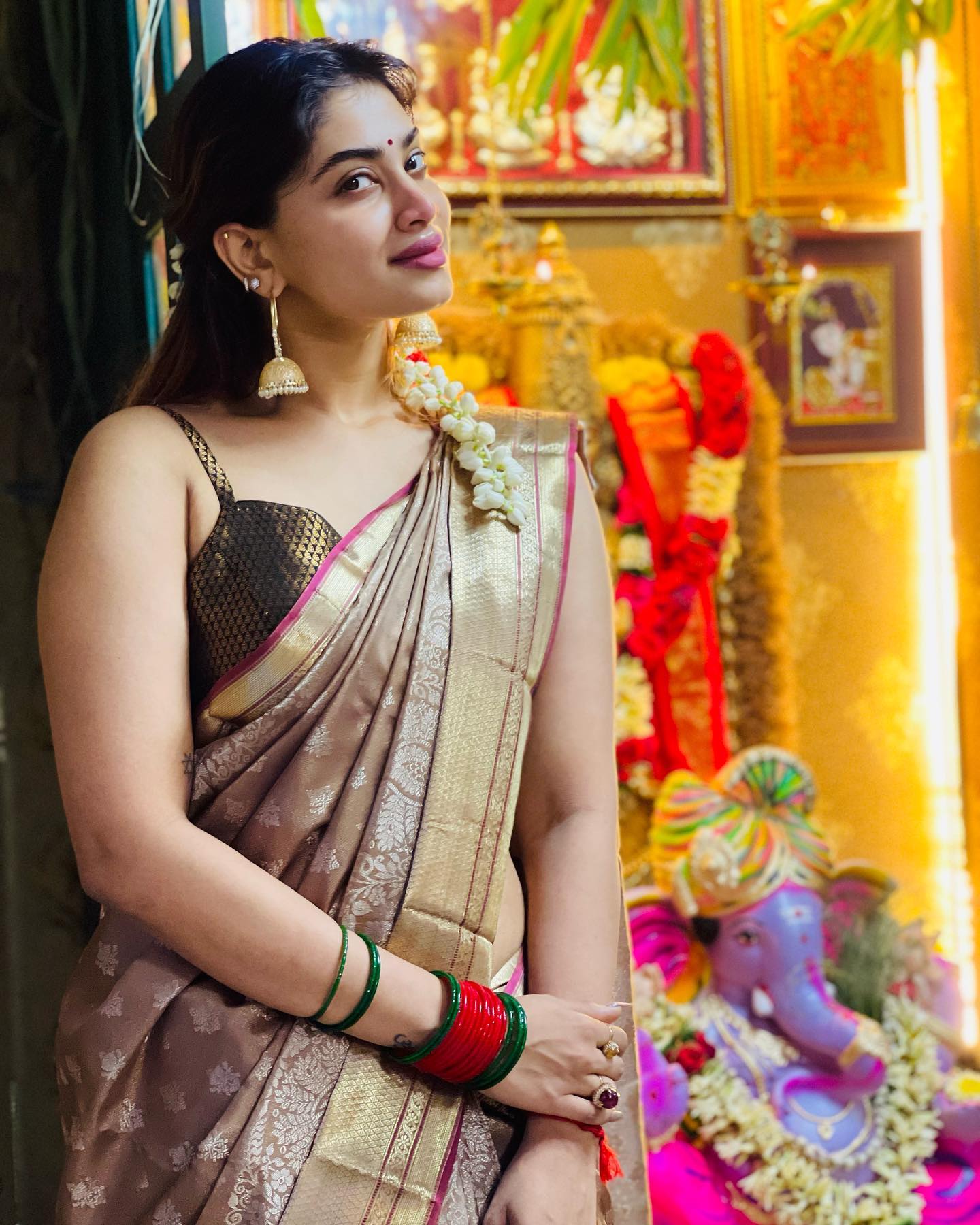shivani narayanan hot saree photos for vinayagar chathurthi