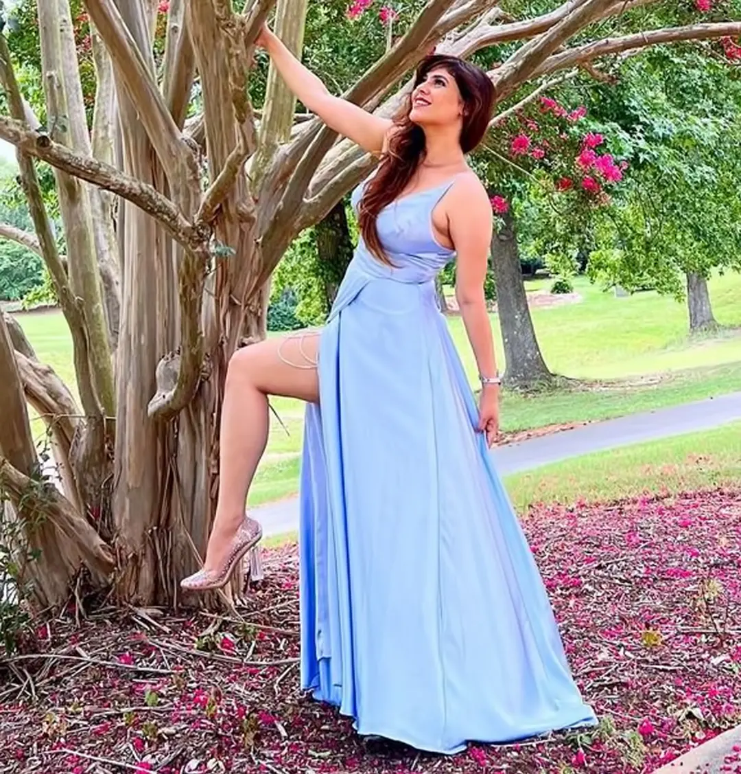 sherin shringar hot photos and video in long gown getting viral