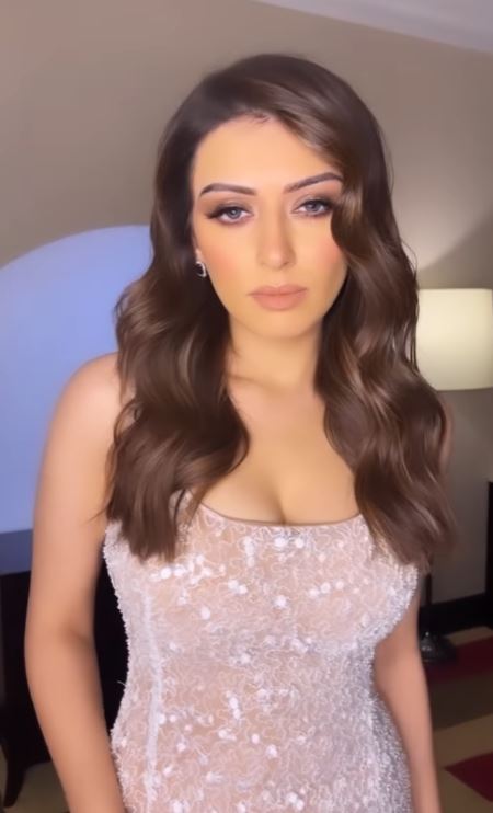 hansika motwani hot photos in shining glamour dress