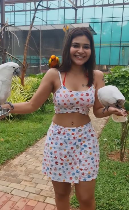 dharsha gupta hot photos in low neck glamour dress getting viral