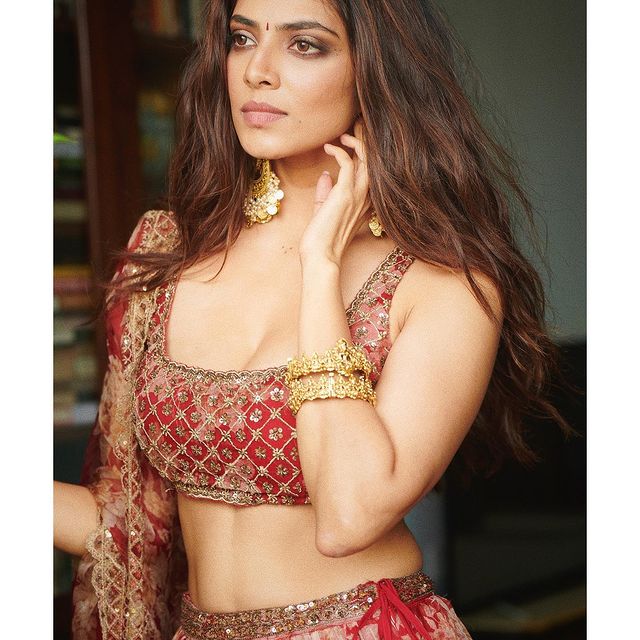 malavika mohanan hot photos in grand glamour dress getting viral