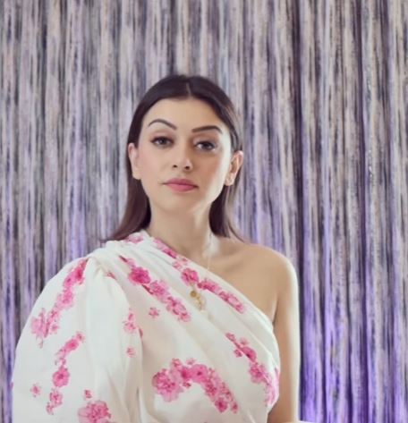 hansika motwani hot photos in glamour dress getting viral