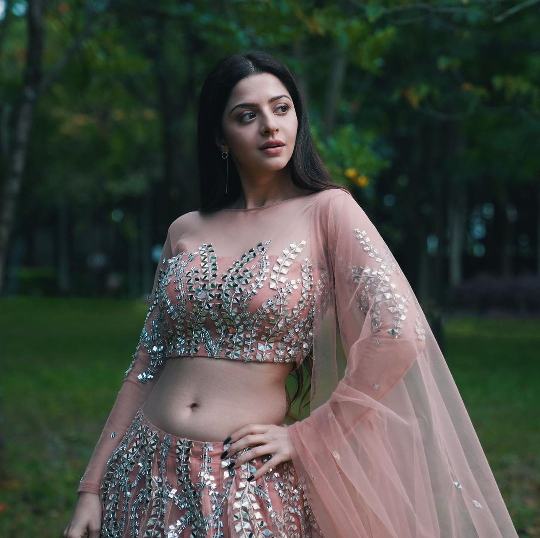 vedhika hot photos in grand lehenga getting viral
