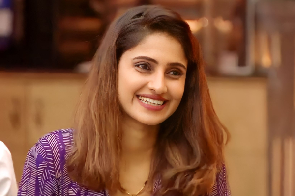 biggboss ayesha 2 times marriage and now living with another guy said by ex lover