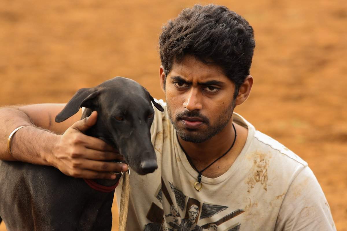 mari selvaraj life incident taken as scene in pariyerum perumal movie