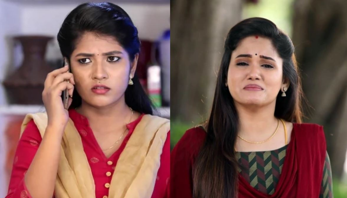 popular character to replace in pandian stores serial information getting viral on social media