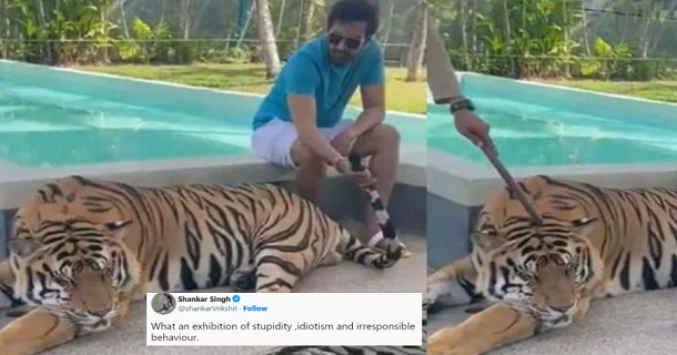 santhanam caught in issue for catching tiger tail and posting video of it