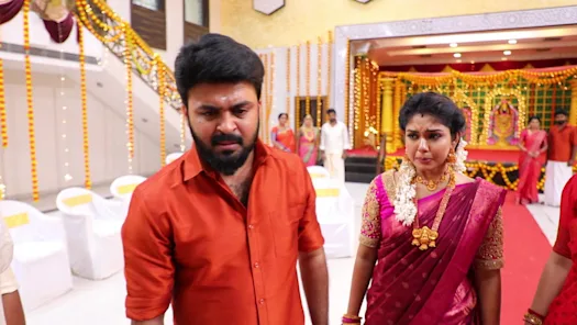 pandian stores shooting meena fun video viral